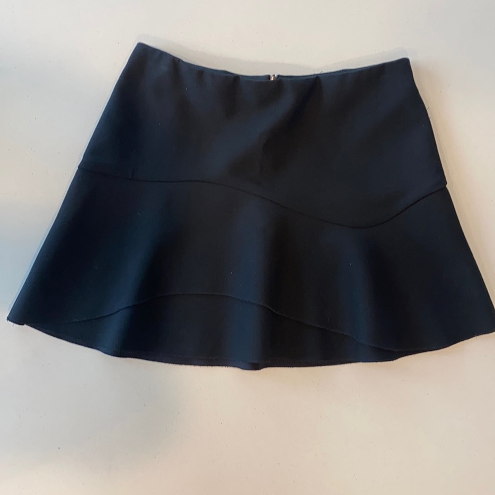 Zara Skirt